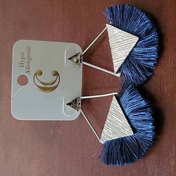 Charming Charlie Silver and Navy Blue Tassel Earrings - Picture 1 of 5